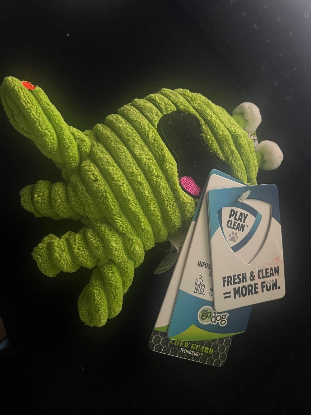 Go Dog Green Plush Squeaky Pet Toy - Fresh & Clean Play